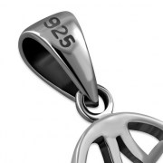 PN561 13.4 x 16.4 02.jpg